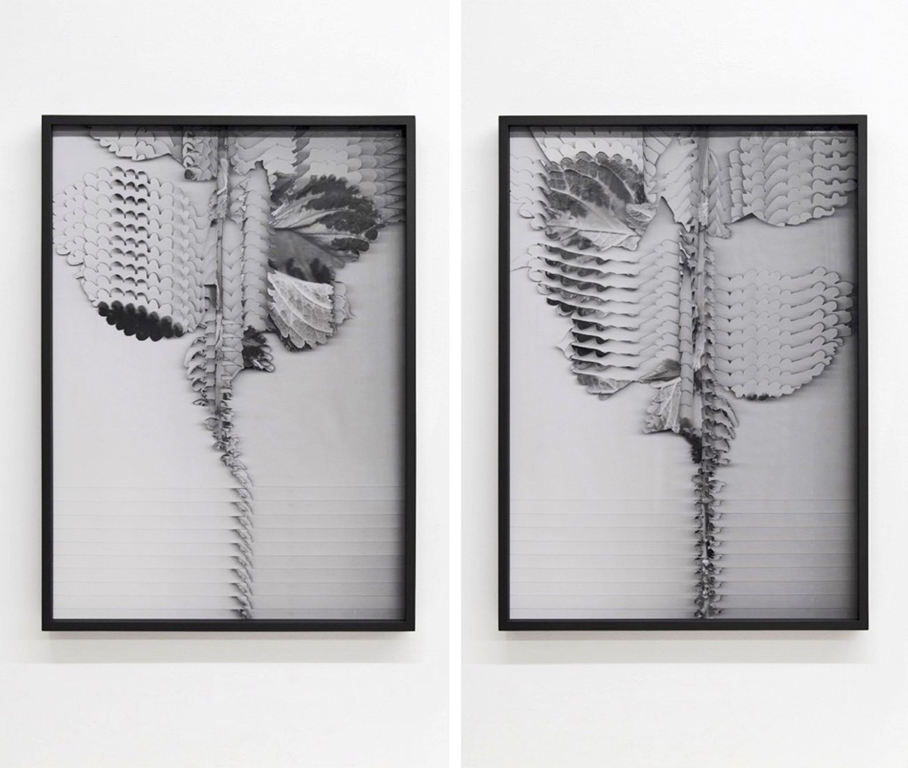 Art Toronto local artists - Susy Oliveira