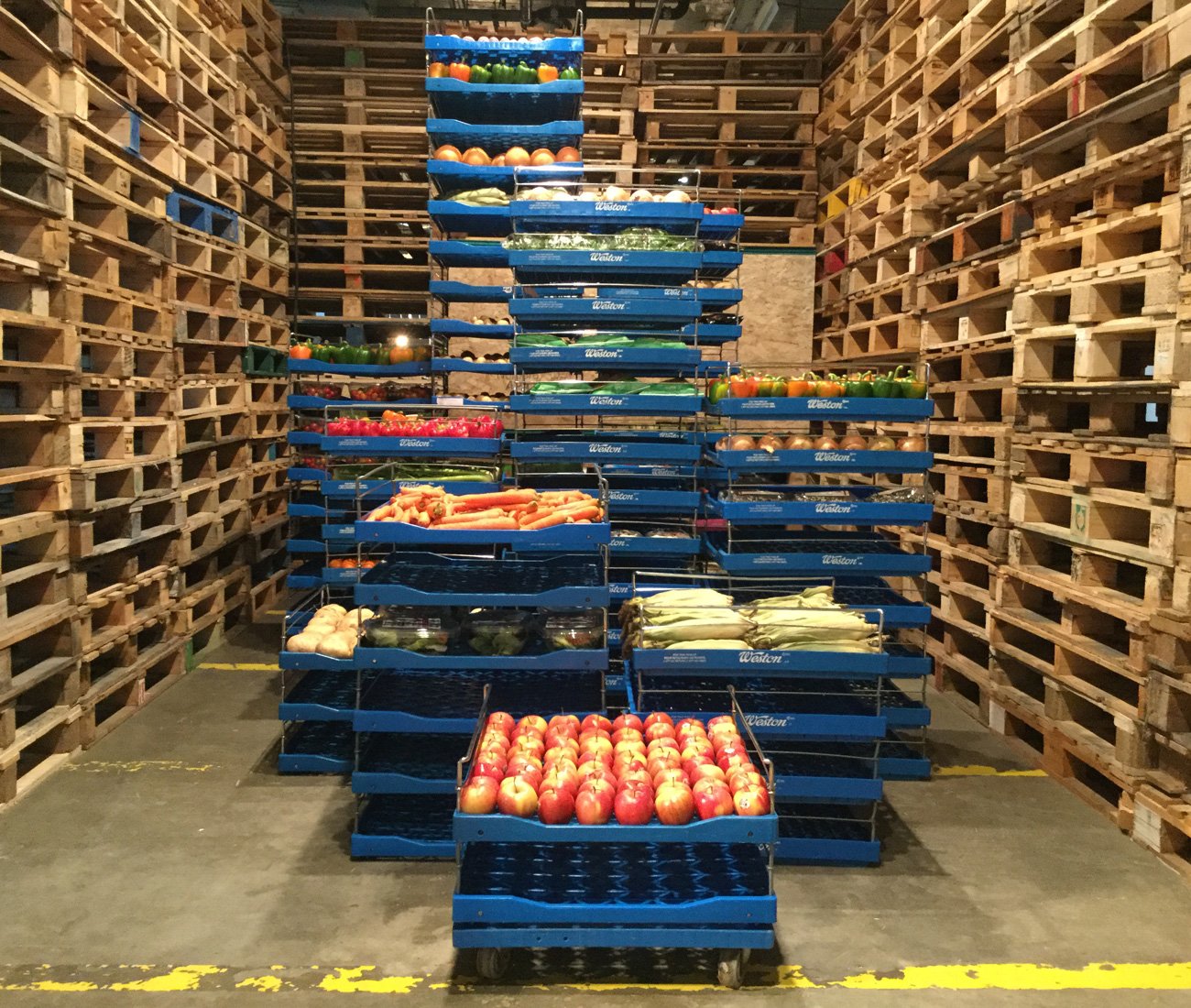 Decorative Fruit, an installation by Robert Cram, working with Second Harvest and the Gladstone hotel, food waste.