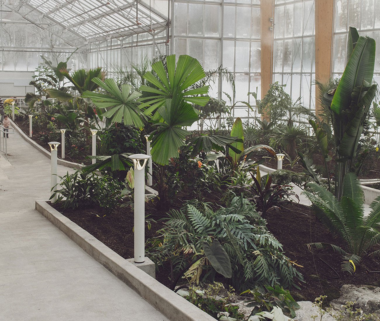 Gage Park Greenhouse