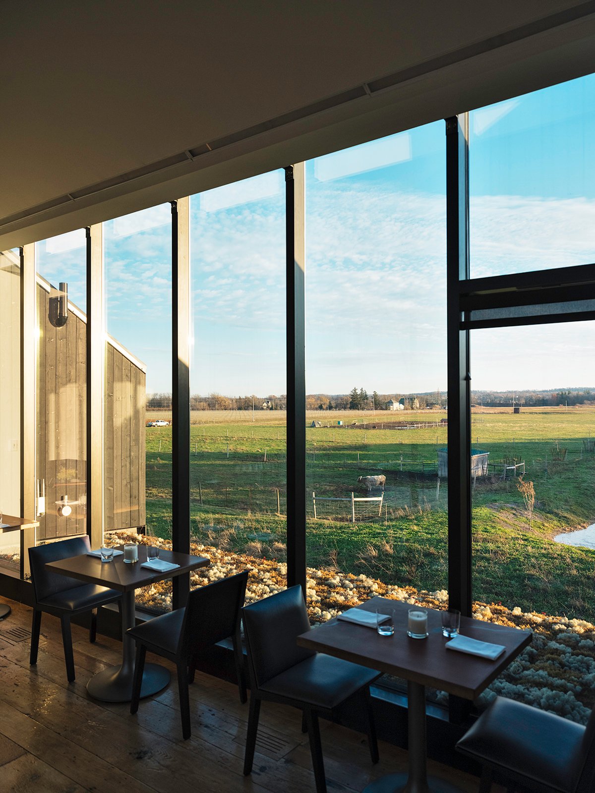 The outdoor view at the Pearl Morissette vinery restaurant 