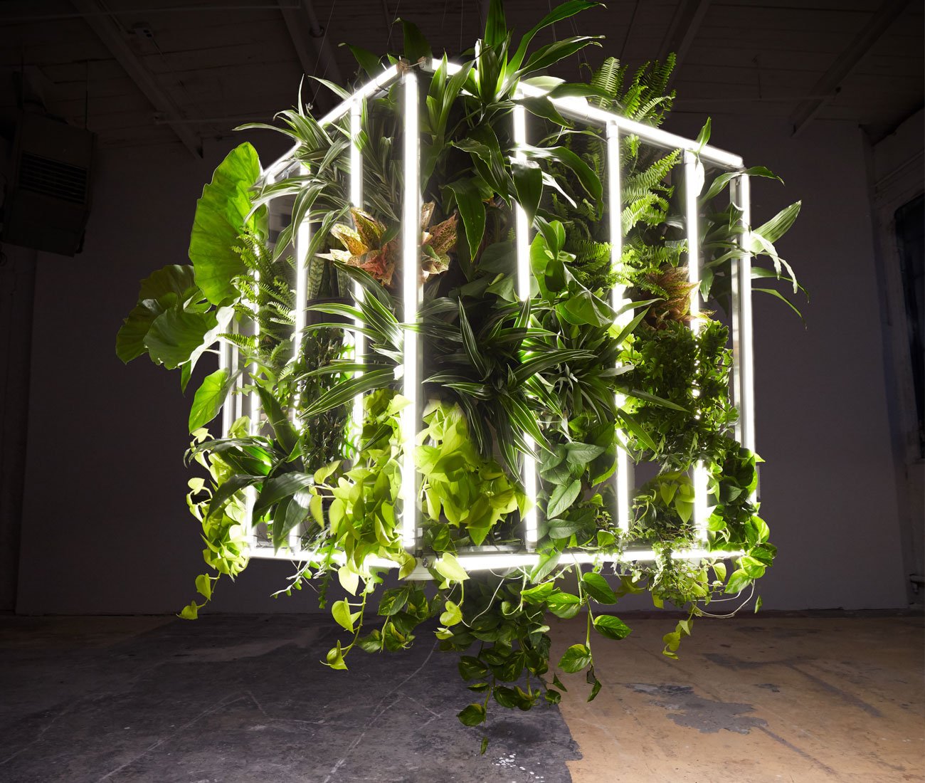 Luvere Studio's living light installation.
