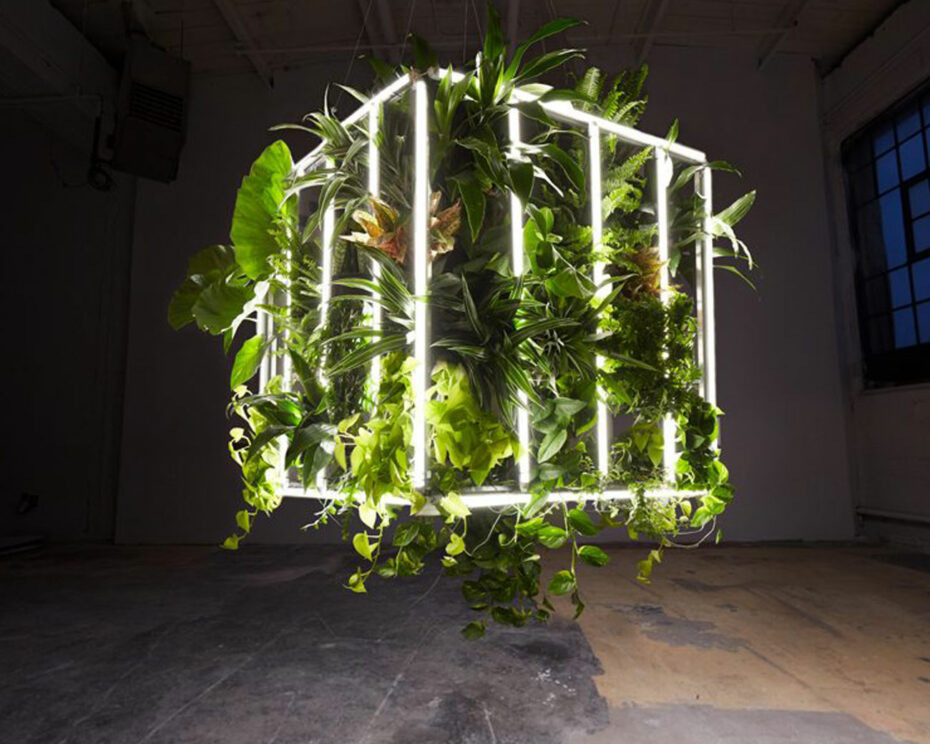 Luvere Studio's living light installation.