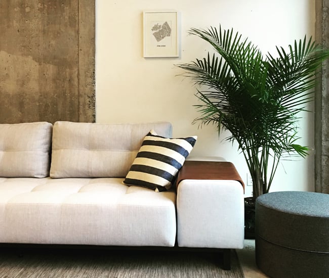 The Sofa Bed Store