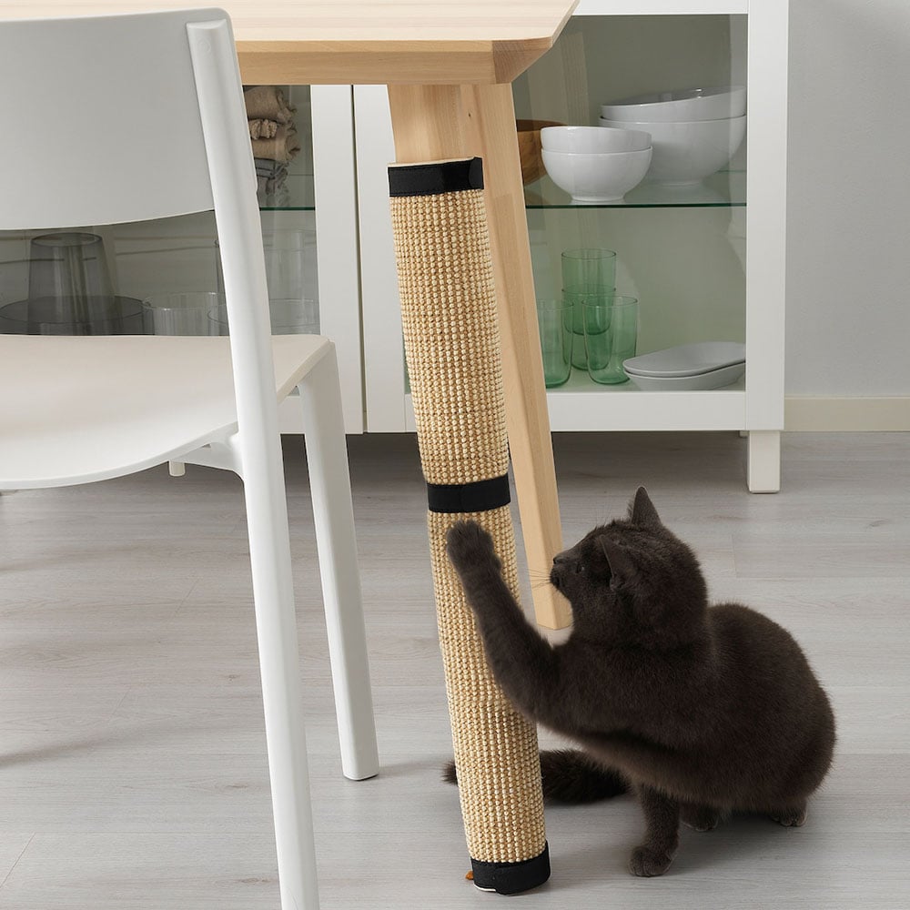 modern pet accessories