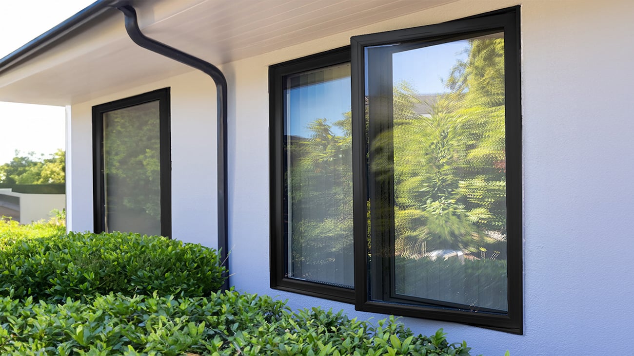 ecoline windows