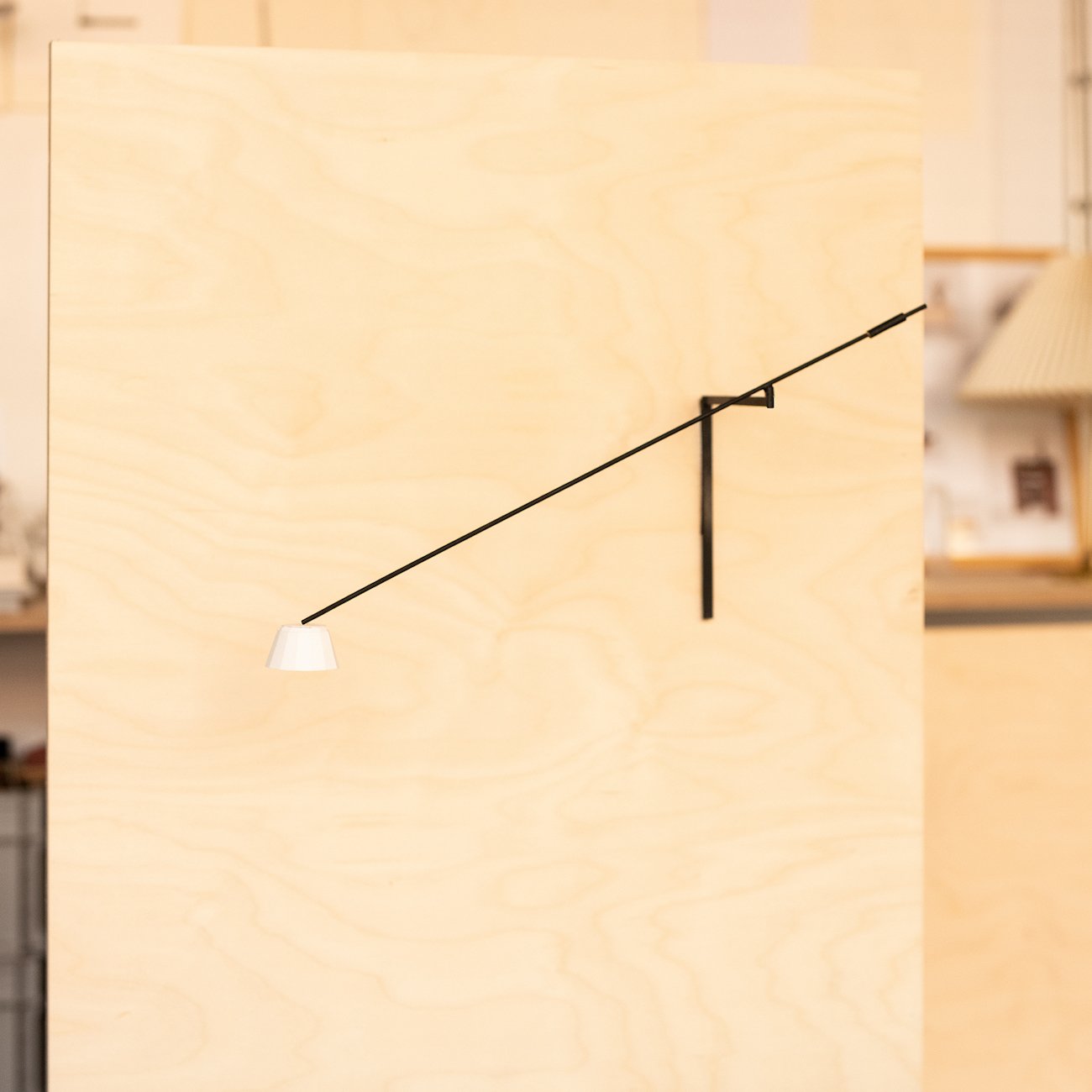 2024 Renovations Issue, Mjolk Product Launch