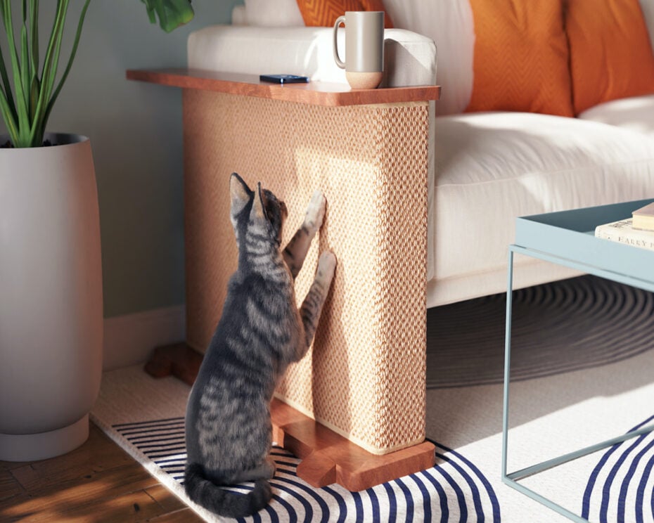 pet products