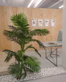 Modulo Shop, Carlaw Gallery