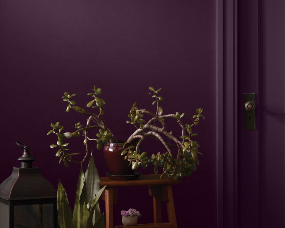 BeautiTone Canadian Paint Brand
