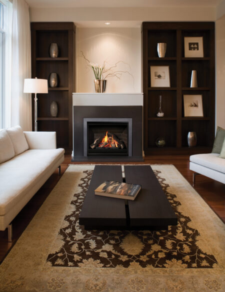 living room concept with gas fireplace