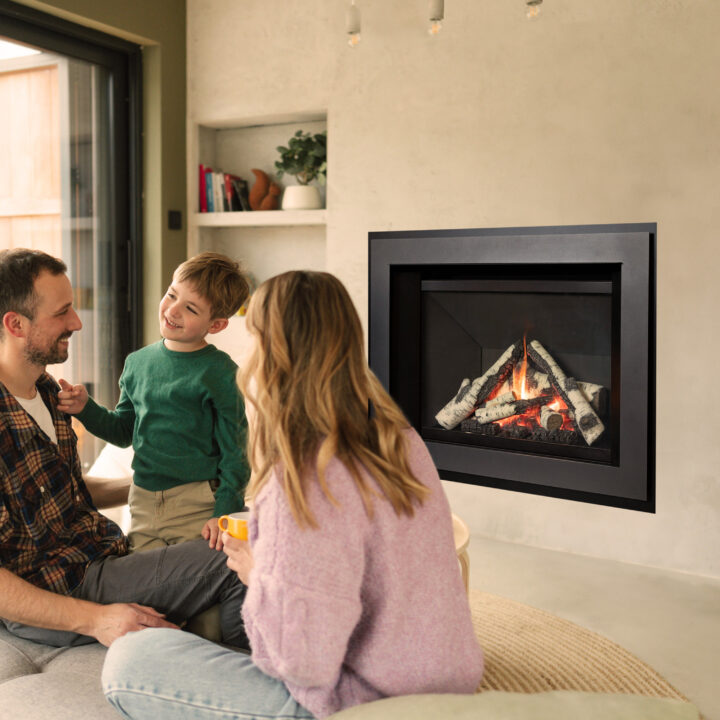 family room insert